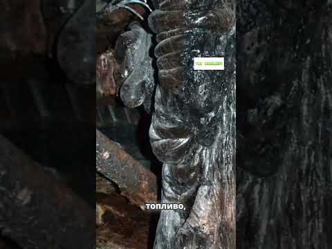 Видео: ☢️УНИКАЛЬНЫЕ ФОТО 📷 РЕАКТОРА БЛОКА ЧАЭС | ПТУШКИН🎬