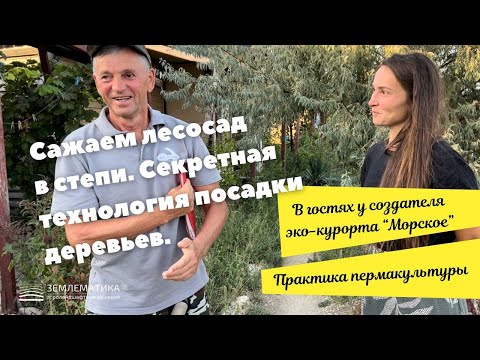 Видео: Секретная технология посадки деревьев в засушливой местности.