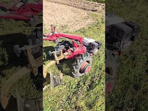 Видео: Мотоблок Беларус 09Н с двигателем Honda GX270. Пашет переделанным плугом.