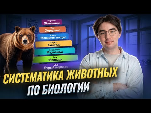Видео: Систематика животных: подробный разбор I ВПР по биологии I Умскул