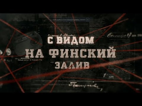 Видео: С видом на Финский залив | Вещдок
