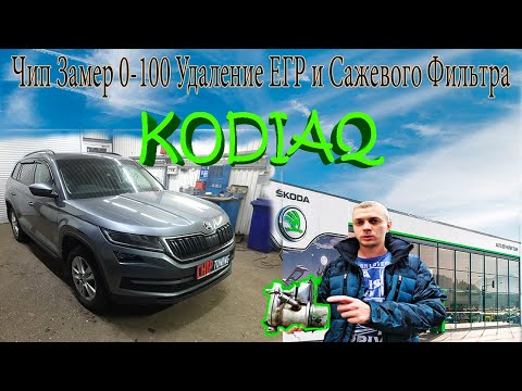 Видео: Skoda Kodiaq ЕГР Чип Тюнинг Ремонт на 300000+ Отказ в Гарантии