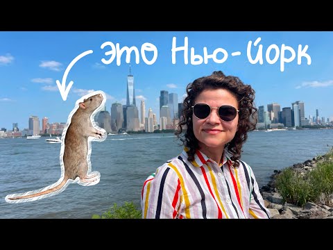 Видео: Настоящие символы Нью-Йорка 🐀
