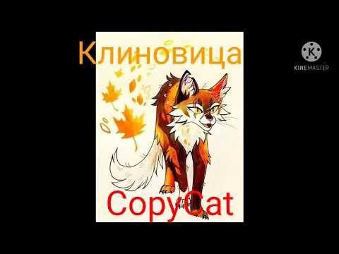 Видео: Коты Воители/Клиновица/ CopyCat