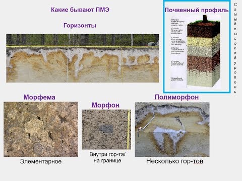 Видео: Генетическая морфология почв. Лекция 1. Содержание курса. Уровни организации почв.