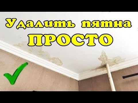 Видео: Как удалить пятна на потолке без покраски.