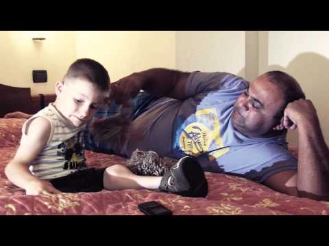 Видео: Взять и полюбить