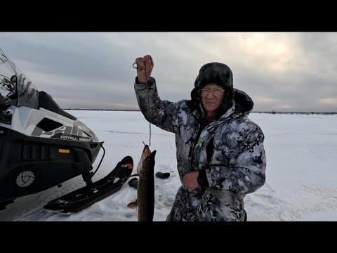 Видео: Рыбалка на Таёжных озёрах. Жерлицы. Продолжение рассказа. Щуки.