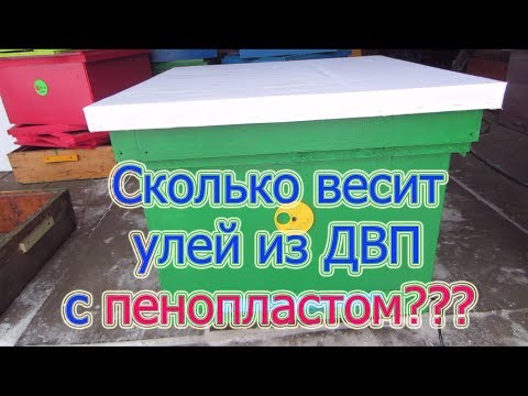 Видео: 9 Часть УЛЕЙ ИЗ ДВП с ПЕНОПЛАСТОМ ВНУТРИ, СКОЛЬКО ВЕСИТ? Beekeeping.🔥🔥🔥