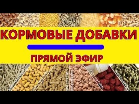 Видео: Кормовые добавки полезно дорого нужно или нет