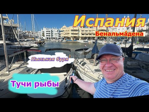 Видео: Испания Пыльная буря/ ПОРТ Бенальмадена