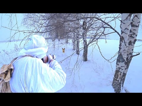 Видео: ЗАЯЦ ИДЕТ на ШТЫК! ПОПАДУ? Охота на зайца 2022 троплением