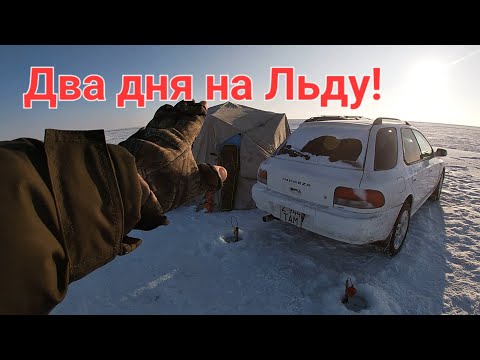 Видео: РЫБАЛКА С НОЧЕВКОЙ В КАЗАХСТАНЕ НА ОЗЕРЕ ЖАРЛЫКОЛЬ!
