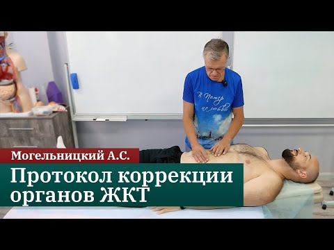 Видео: Протокол коррекции органов ЖКТ. Могельницкий А.С.