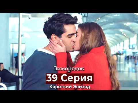 Видео: Зимородок 39 Cерия (Короткий Эпизод) (Русский дубляж)