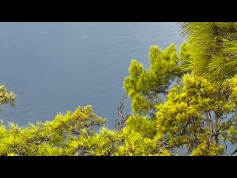 Видео: ВЕРХ ВНИЗУ😁😄😉
