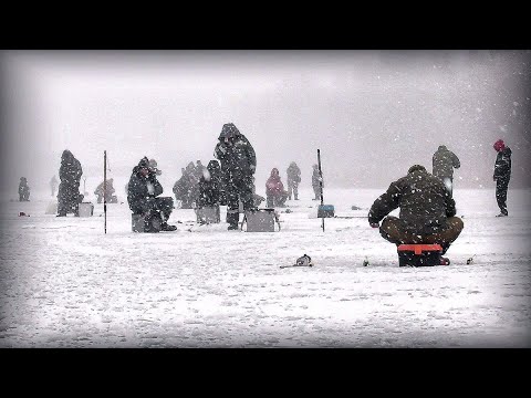 Видео: В снігопад зайшла біла, Тарань ,Лящі !!! Сидимо дуже тісно !!!