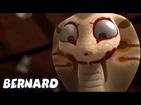 Видео: Бернар Медведь | СТРАШНАЯ ЗМЕЯ И НЕ ТОЛЬКО | Мультфильмы для детей | Полные эпизоды