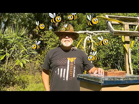 Видео: Что происходит, когда они узнают, что вы пчеловод