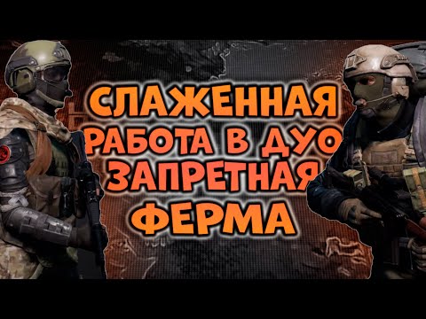 Видео: СЛАЖЕННАЯ РАБОТА В ДУО В ARENA BREAKOUT! ЗАПРЕТНАЯ ФЕРМА!
