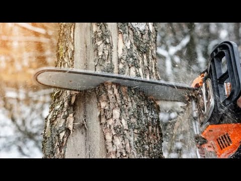 Видео: Проект Парма 052/15 завершен. Настройка бензопилы без тахометра в бревне.