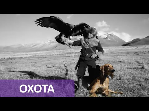 Видео: Охота с ловчими птицами и собаками тазы. Этноспорт (2018) #prvision