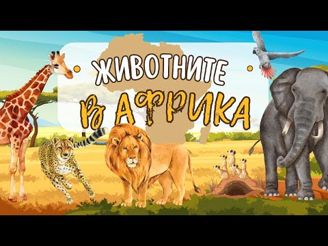 Видео: Животните в Африка 🦁🐘🦏 | За най-малките