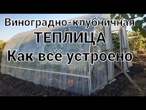 Видео: Моя виноградно-клубничная теплица.