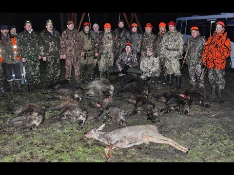 Видео: Охота на кабана. Выезд на охоту в Республику Беларусь, часть-2.
