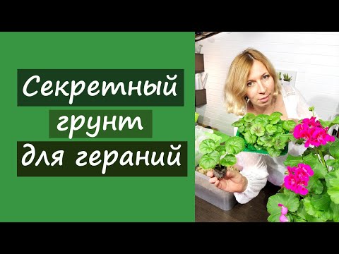 Видео: Секретный грунт для гераней