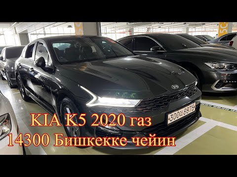 Видео: Киа К5 2020 газ 14300$ Бишкекке чейин +821079399496