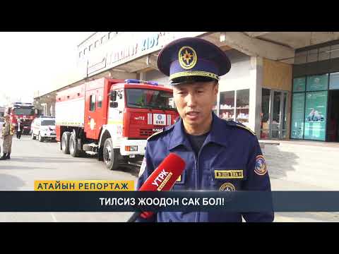 Видео: Атайын репортаж: Тилсиз жоодон сак бол!
