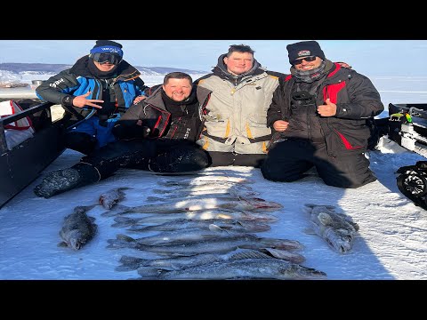 Видео: Эти СУДАКИ-КАБАНЫ не лезут в лунку. Рыбалка Мечты