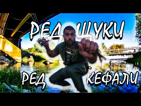 Видео: ЕДНА СЛЕД ДРУГА - РЕД ЩУКИ - РЕД КЕФАЛИ !