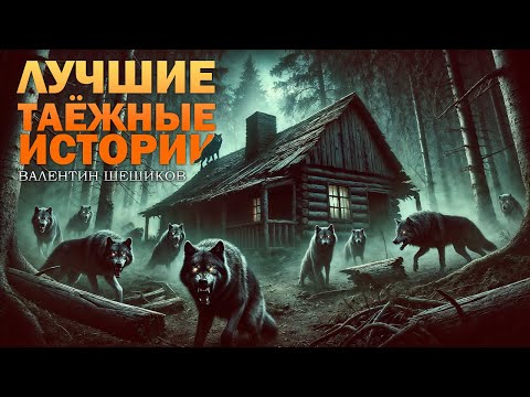 Видео: ЛУЧШИЕ ТАЁЖНЫЕ ИСТОРИИ ОТ ВАЛЕНТИНА ШЕШИКОВА