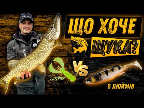 Видео: Маленька чи велика приманка на щуку? Результат здивує!