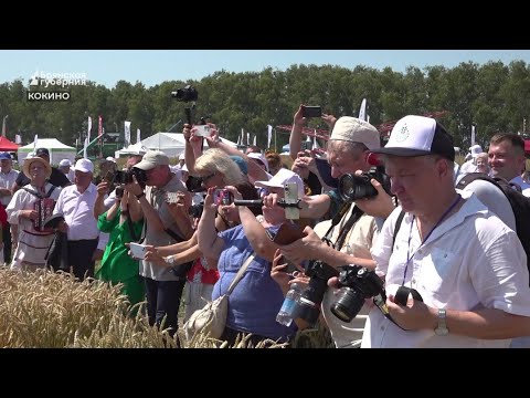 Видео: В день открытия агровыставку «День брянского поля» посетили тысячи посетителей