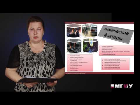 Видео: Негативные факторы техносферы