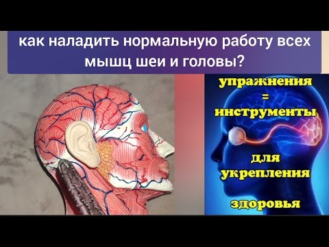 Видео: Зажатые линии между атлантом и висками вредят сосудам шеи и мозга, ухудшают зрение, слух. Упражнения