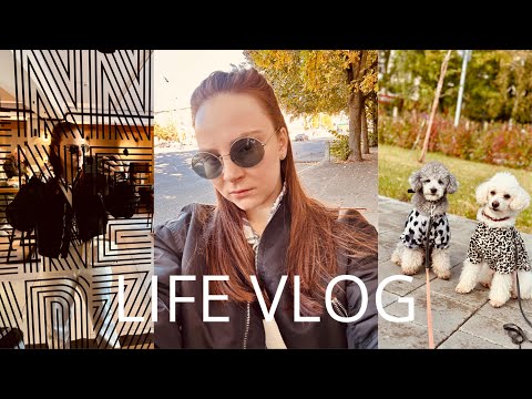 Видео: НАШИ ВЫХОДНЫЕ | ПУДЕЛЬ | ОСЕНЬ | ПЕРВЫЙ VLOG