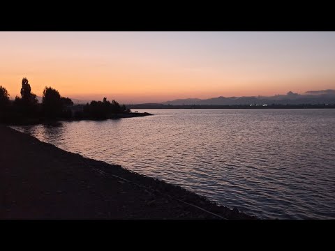 Видео: Поёт Ира Шраго. «Над заливом». Чарующий Романс-Танго 1940-х годов.