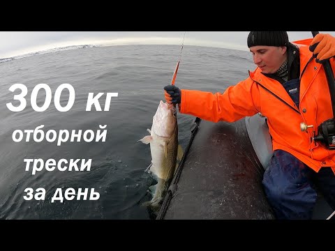 Видео: ОЧЕНЬ УДАЧНАЯ АПРЕЛЬСКАЯ РЫБАЛКА НА ВОСТОКЕ О. КИЛЬДИН В БАРЕНЦЕВОМ МОРЕ  / VERY SUCCESSFUL FISHING