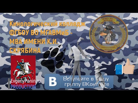 Видео: КАК СТАТЬ КИНОЛОГОМ?! Кинологический колледж ФГБОУ ВО МГАВМиБ имени К.И. Скрябина открывает секреты!