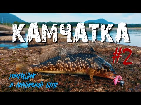 Видео: Рокфишинг на КАМЧАТКЕ - Рыболовные путешествия