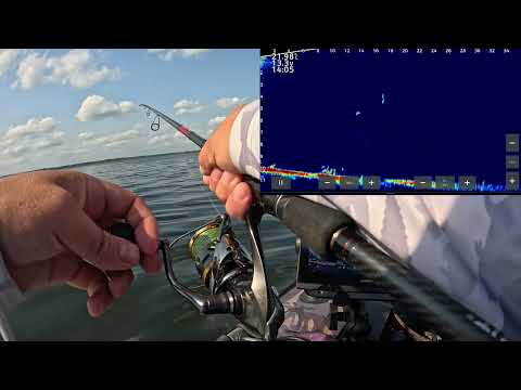 Видео: Рыбалка в Panoptix LiveScope по судаку.