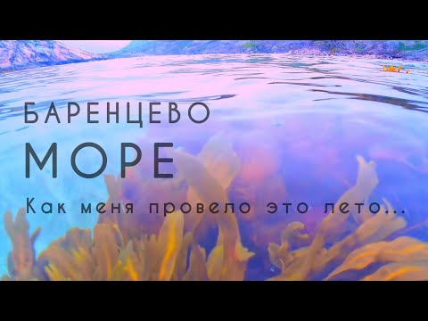 Видео: Первый дайвинг!АРКТИКА!