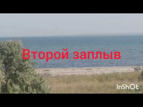 Видео: Кефали Тилигульского лимана.