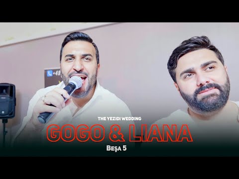 Видео: Gogo & Liana //Езидская свадьба/ Dawata Ezdia 2023 PART 5