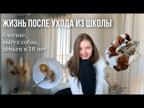 Видео: Ушла из школы и пошла работать | моя жизнь два года спустя: выгул собак, блогинг, деньги в 18 лет