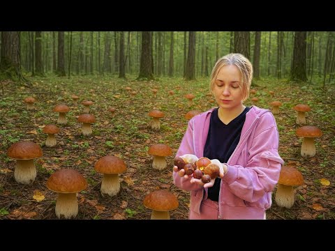 Видео: Мы нашли целую поляну ГРИБОВ - не поверите! | Ехали работать, а оказались в ЛЕСУ